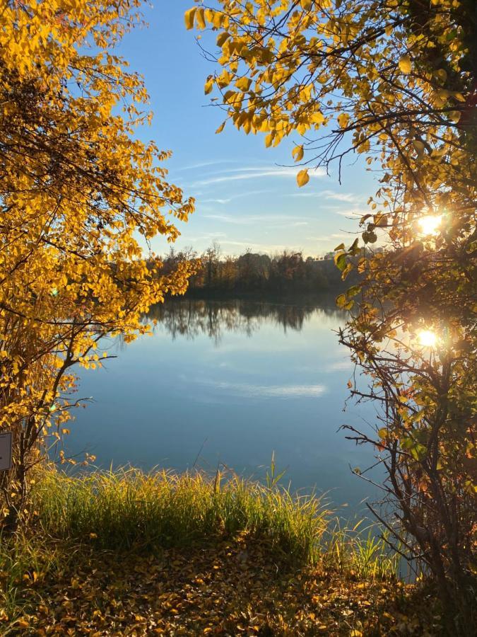 Holiday Home Punta D'Oro With Garden, Parking Place And Lake Access At 300 M Ізео Екстер'єр фото